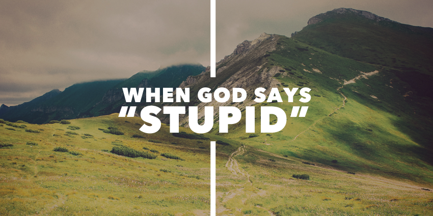 When God Says, “Stupid”