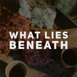 What Lies Beneath: This Is What Matters Most